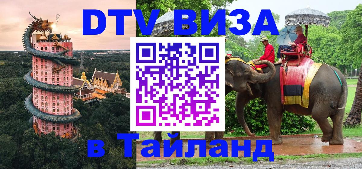 Сколько стоит DTV виза — актуальные цены, оформление даже без документов - 